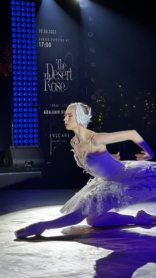 Балерина Светлана Бедненко на сцене
